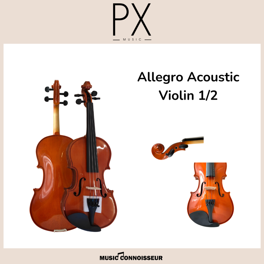 PX Allegro 1/2 Acoustic Violin